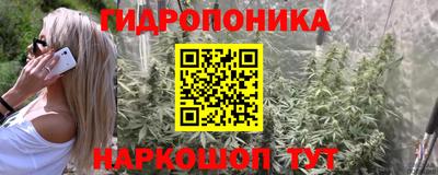 сатива Кумертау