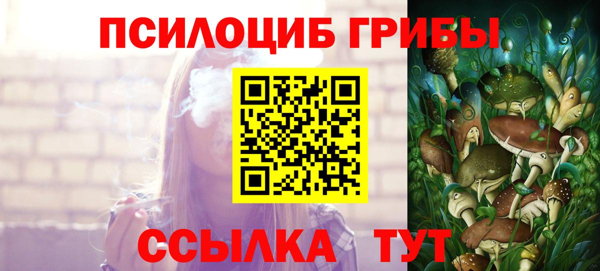 Зеленодольск  Галлюциногенные грибы ЛСД  Вход с VPN  Галлюциногенные грибы GOLDEN TEACHER 